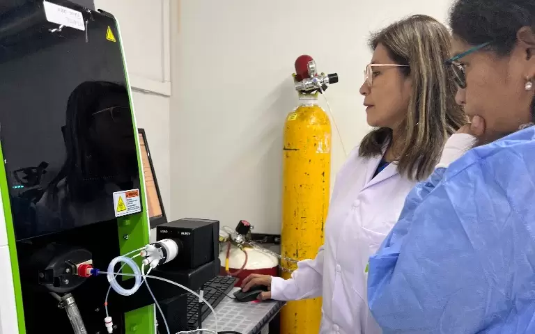 Área de soporte analítico